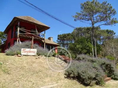 Terrafema - Punta del Diablo