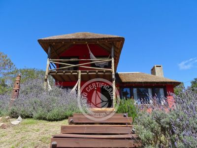 Terrafema - Punta del Diablo