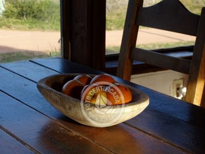 Cabin Isarra Punta del Diablo