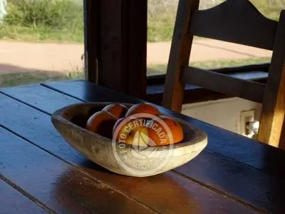 Cabin Isarra Punta del Diablo