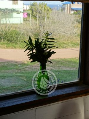 Cabin Isarra Punta del Diablo