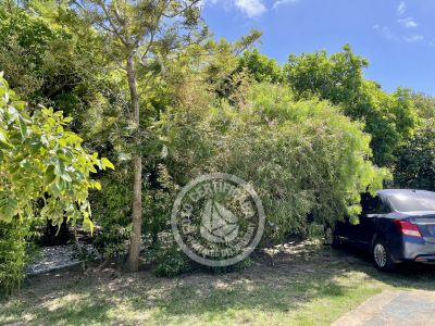 Casa Cachafai Punta del Diablo