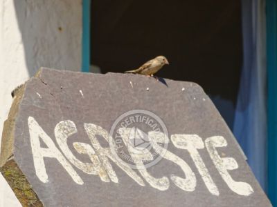 Complejo Agreste Lofts Punta del Diablo