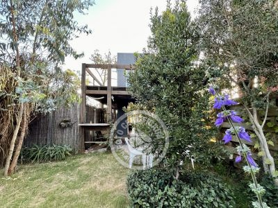 Iona Lis - 1 - Punta del Diablo