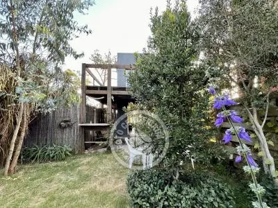 Iona Lis - 1 - Punta del Diablo