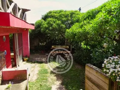 Del Norte vengo y en el sur me quedo - Vientos de Mar - Punta del Diablo