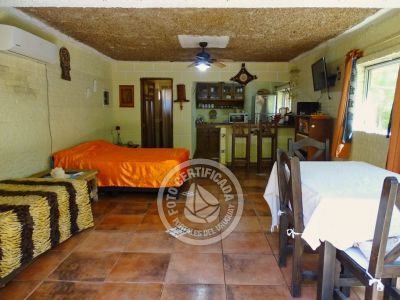 Del Norte vengo y en el sur me quedo - Vientos de Mar - Punta del Diablo