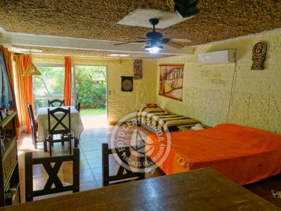 Del Norte vengo y en el sur me quedo - Vientos de Mar - Punta del Diablo