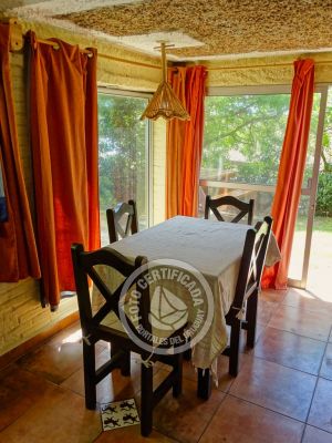 Del Norte vengo y en el sur me quedo - Vientos de Mar - Punta del Diablo