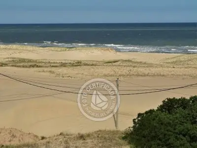 El Diablo Elegante - Punta del Diablo