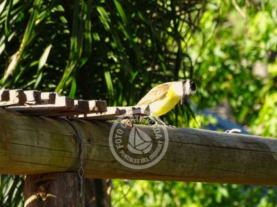Cabaña La Caracola. Punta del Diablo