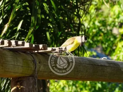 Cabin La Caracola. Punta del Diablo