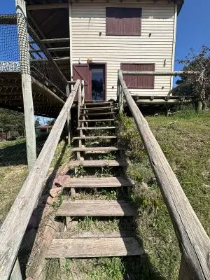 Altos del Bosque - Grande