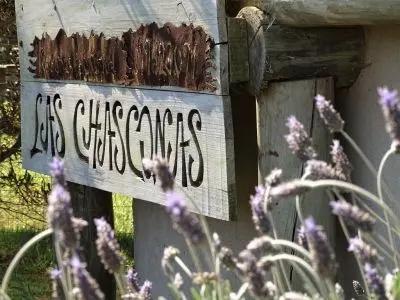 Las Chasconas