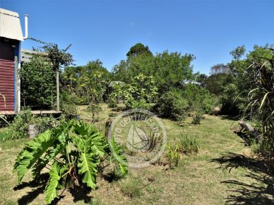 Kurve Kabana - Punta del Diablo