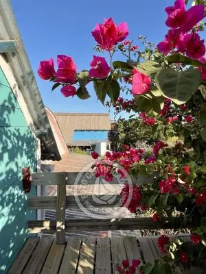 Complexo Kurve Kabañas Punta del Diablo