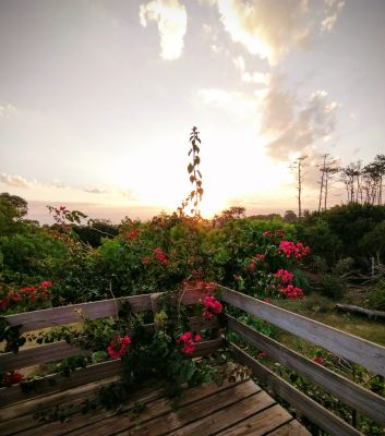 Cabin Kurve Kabana Roja Punta del Diablo