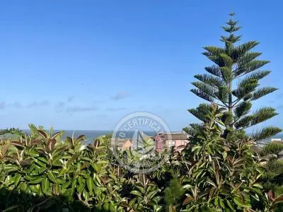 Complejo Marias del Diablo Punta del Diablo