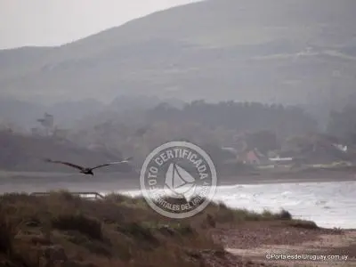 Bella Vista - Localidades