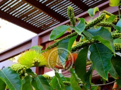 Complejo Paraiso del Diablo Punta del Diablo