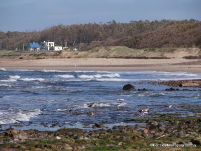 Las Flores - Localidades