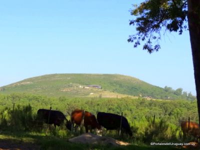 Las Flores - Localidades