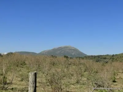 Las Flores - Localidades