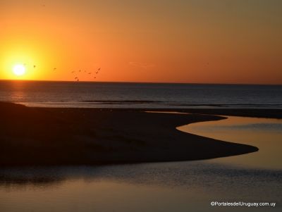 Las Flores - Localidades