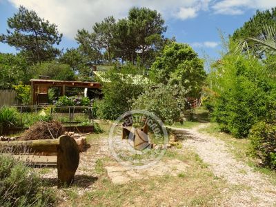 Villa Alchimia y Africa Punta del Diablo
