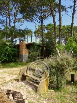 Complejo Alchimia y Africa Punta del Diablo