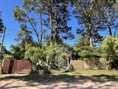 Complejo Alchimia y Africa Punta del Diablo