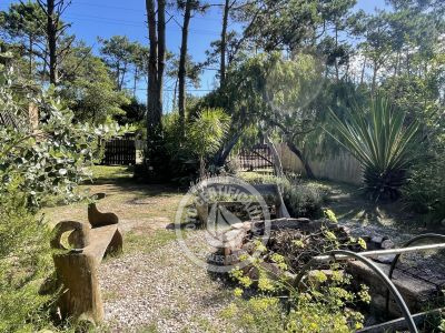 Villa Alchimia y Africa Punta del Diablo