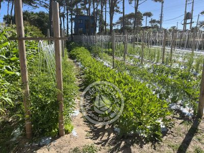 Inn Il Tano Suites Punta del Diablo