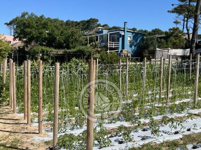 Inn Il Tano Suites Punta del Diablo