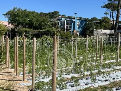 Pousada Il Tano Suites Punta del Diablo