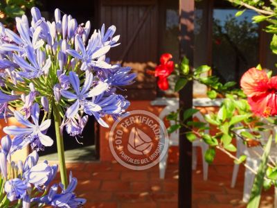 Cabaña Oasis del Sol 1 Punta del Diablo