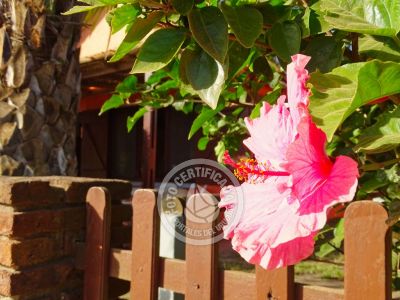 Cabaña Oasis del Sol 2 Punta del Diablo