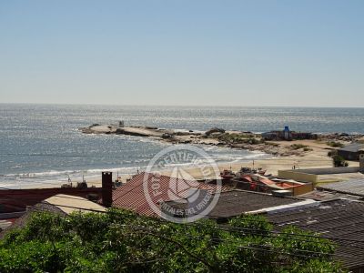 Cabaña En el sur me quedo - Estrellas Punta del Diablo