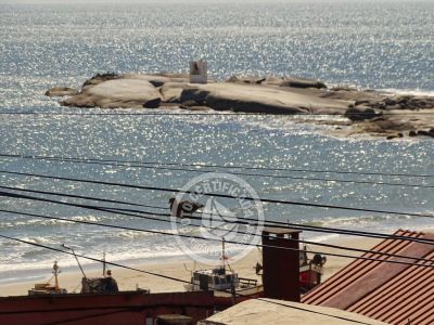 Cabaña En el sur me quedo - Estrellas Punta del Diablo
