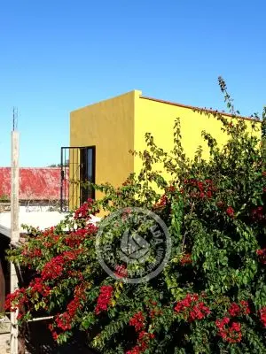 Casa La Polilla - Casa Punta del Diablo