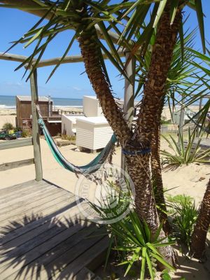 Apartamento Arenas del Mar - 3 Jaspe Punta del Diablo