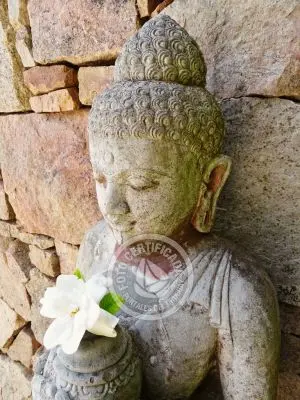 Apart-Hotel Villa Juana - Suite 2 Punta del Diablo