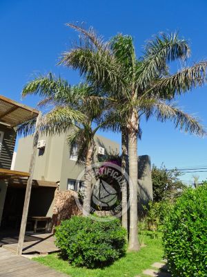 Bungalow Villa Juana -  Bungalow 3 Punta del Diablo