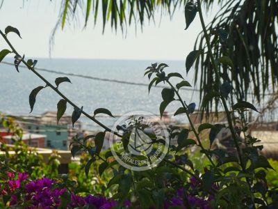 Bungalow Villa Juana -  Bungalow 3 Punta del Diablo