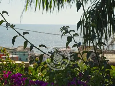 Bungalow Villa Juana -  Bungalow 3 Punta del Diablo