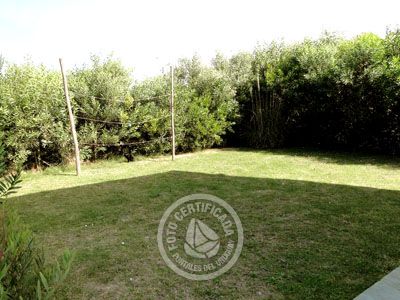 Betel Geuse - Betel - Punta del Diablo