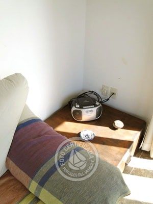 Betel Geuse - Betel - Punta del Diablo