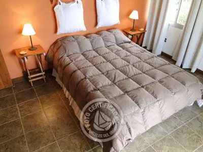 Betel Geuse - Betel - Punta del Diablo