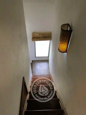 Betel Geuse - Betel - Punta del Diablo