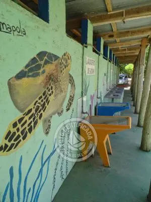 Cabaña Camping de la Viuda - Mini Cabañas Punta del Diablo